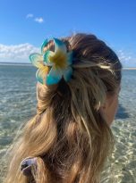 Blue plumeria clip 2