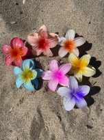 Plumeria clips 2