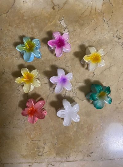 Mini Plumeria Clips